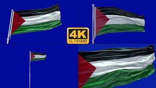 Palestine flag blue screen 4k