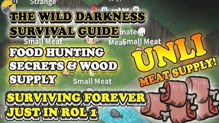 The Wild Darkness Survival Guide: Secrets to Surviving Forever even just in Ruins of Light 1