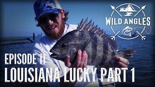 Fishing Redfish, Sheepshead, Black Drum in Louisiana - WILD ANGLES EP 11 | LOUISIANA LUCKY PART 1