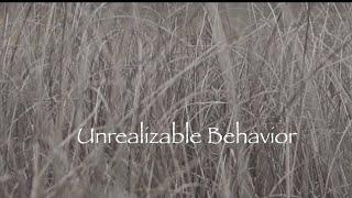 Andrew Nakaznyi - Unrealizable Behavior (Official Video)