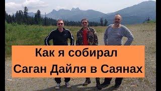 Сбор Саган Дайля в Саянах