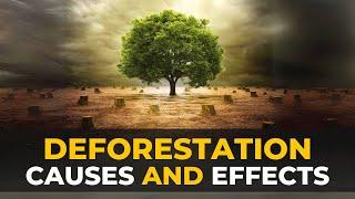 Deforestation | Causes, Effects, and Solutions | The Planet Voice