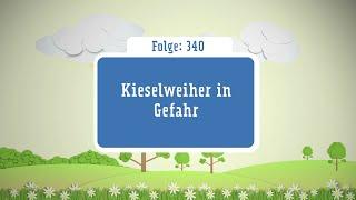 Kinderhörspiel Doppeldecker Folge 340 Kieselweiher in Gefahr