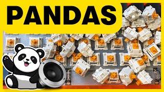 Glorious PANDAS Sound Test (lubed)