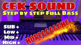 CEK SOUND STEP BY STEP - BASS HOREG BIKIN JANGTUNG MAU COPOT ( Sub low mid high )