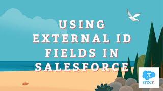 Using External ID Fields in Salesforce - SFDCPi