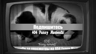 Заставка 404 Funny Moments