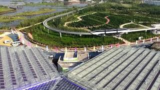 BYD SkyRail（MonoRail） Project for Yinchuan China Flower Expo Park