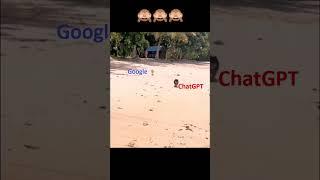 ChatGPT vs Google | Google Kicks ChatGPT 