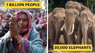 1 Billion People VS 30,000 Elephants: Full Film.