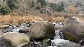 RELAXING NATURE SOUNDS FOREST.RIVER SLEEP RELAXATION - SOUND OF WATER.