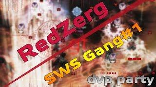 Lineage 2 Classic [GK] RedZerg dvp party - SWS Gang #1 [pvp movie]