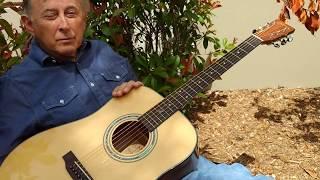 Zager Easy Play ZAD20 Acoustic Guitar Walkaround