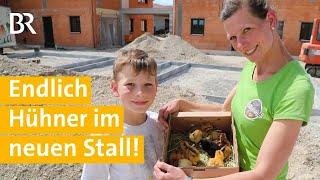 Hühnerhaltung: Küken am Pflüglerhof #16 | Mega Baustelle: Ein Bauernhof zieht um | Unser Land | BR