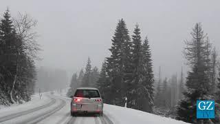 Schneegestöber im Oberharz 2019