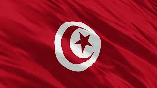 3D Tunisian flag background 4K animation free download