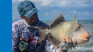 How To Catch A Triggerfish On Fly