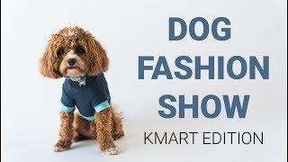 Cavoodle Models New Kmart Dogware Range