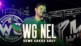 WG Nel - Sewe Sakke Sout