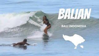 Famous with Shark attack! Beautiful Balian beach for surfing in Bali【008】