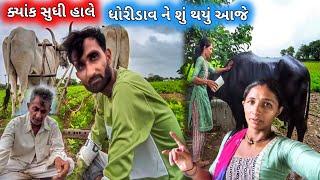 Kyak Shudhi Hale / Dhoridav Ne Shu Thayu Aaje || farmerlife ||