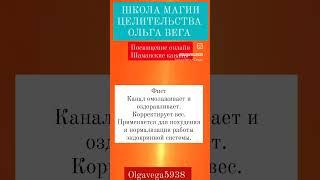 Фист Шаманский канал Посвящение онлайн