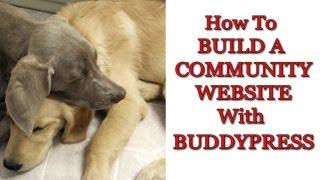 How To Build A Community Website With BuddyPress