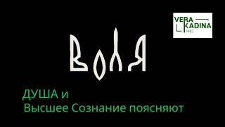 Как управлять собой и миром с помощью Воли || информация от Души человека и Высшего сознания #воля