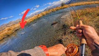 FISHING an UNBELIEVABLE SPRING CREEK!