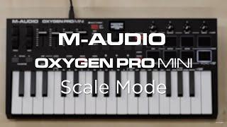 M-Audio Oxygen Pro Mini || Scale Mode Overview