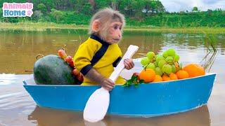 BiBi rowes boat to pick fruit