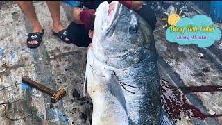  CATCHING!! GIANT KING FISH, PARROT FISH, LOBSTER, | BONG FISH CUTTER FISHING ADVENTURE | PART - 2