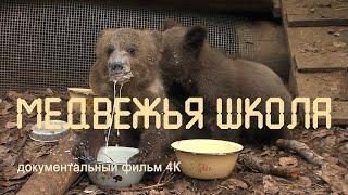 Wildlife of Russia. Central Forest Reserve. School for little bears. Village of Bubonica. 4K.