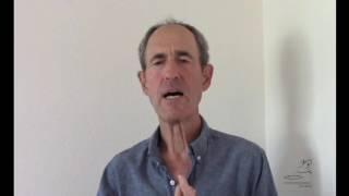 Stephan Bodian: Beyond Mindfulness Snippet