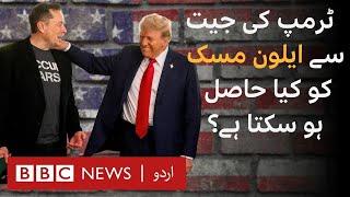 What Elon Musk could gain from Trump's presidency - BBC URDU