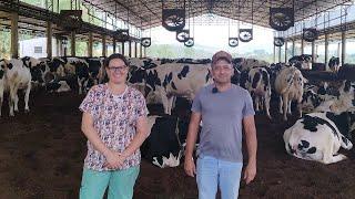 Tirando 4600 Litros De Leite Menos De Um Arqueiro De Terra Alta Produção e Rentável