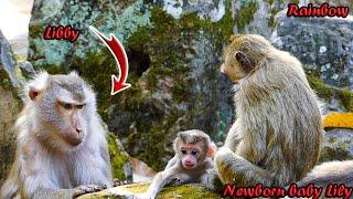 Wow!!____________ Monkey Libby IS very excited after baby Lily starts to walk a tiny step 