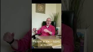 Разум и Ум - одно и тоже?