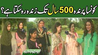 Bhoojo To Jeeto With Mehreen Fatima | Lahore News HD | 26 May 2022