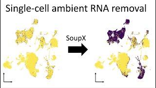 Single-cell background decontamination in R and Python with SoupX