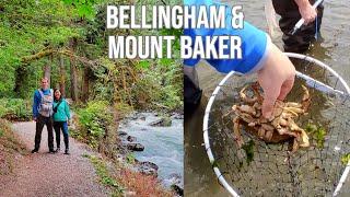 A Weekend in Bellingham and Mount Baker Washington - Hiking, Crabbing, and More!