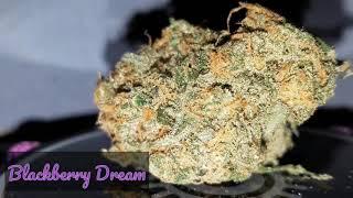 BlackBerry Dream Cannavore Ogz fireweed Diablo review legal weed