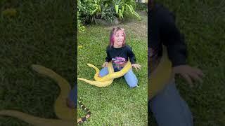 KAMYLINHA SE ASSUTA COM A BOCA DA COBRA GELADA  @oieuro