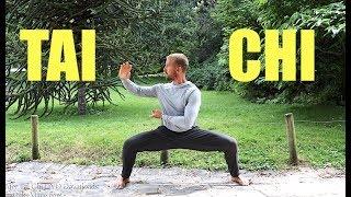 Tai Chi FREE LESSON || 20 Min Tai Chi Routine || Daily Taiji Practice