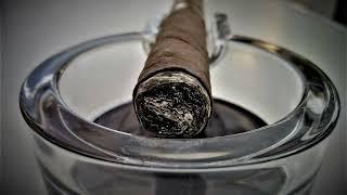 Rauchopfer - Zigarrenreview - Rocky Patel Vintage 1990 Robusto