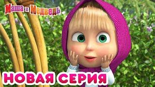 Маша  и Медведь -  НОВАЯ СЕРИЯ!  Медовый день  Коллекция мультиков