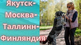 Вольф. Из Якутского ада в любящую семью