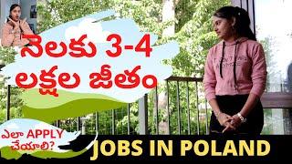 Jobs In Poland | పోలాండ్ లో ఉద్యోగం ఎలా తెచ్చుకోవాలి | Jobs in Europe in Telugu