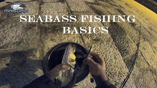 SEABASS FISHING - BASICS  (Ribolov brancina - osnove)