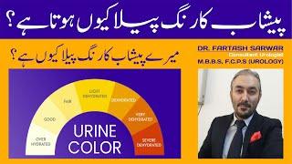 Why Urine Color Is Yellow? Its Causes & Treatment By Dr. Fartash Sarwar | Urine Color | Urdu/Hindi